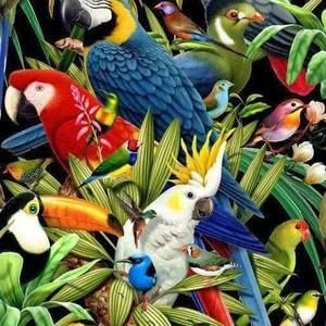 Meet your Posher, Genesis